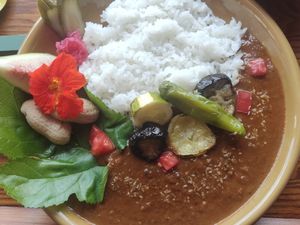 Yummy food, many options and can accomodate for vegans. Also all organically sourced and lovely staff ready to help and give you advice. 🥰🫶🏻 at Veggie Cafe Mazina in Fujinomiya