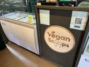  at Vegan Scoops in Orlando
