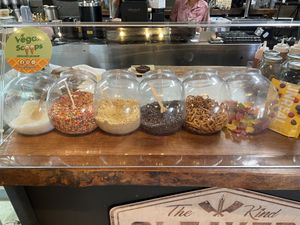   at Vegan Scoops in Orlando