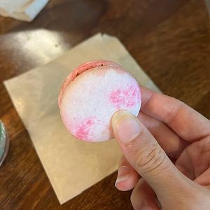dragonfruit macaroon at Vegan Scoops in Orlando