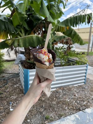   at Vegan Scoops in Orlando