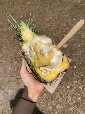   at Vegan Scoops in Orlando