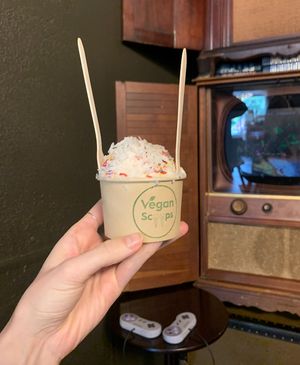   at Vegan Scoops in Orlando