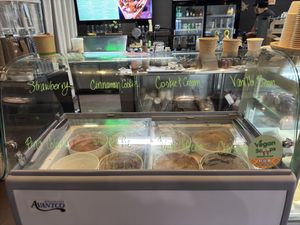 Lots of ice cream options   at Vegan Scoops in Orlando