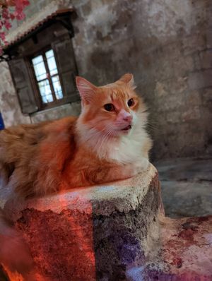  at Hamam Cafe in Rhodes