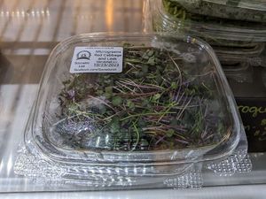  at Sia's in Pittsburgh