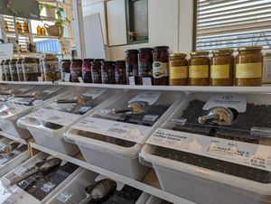 bulk foods and jarred items at GoodFor Wholefoods Refillery in Christchurch