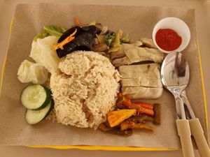 White chicken rice at Jia You Vegetarian - 泇佑素食 in East Singapore