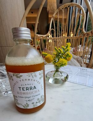 Kombucha at Planet Terra - Ibis Hotel Dubai in Dubai