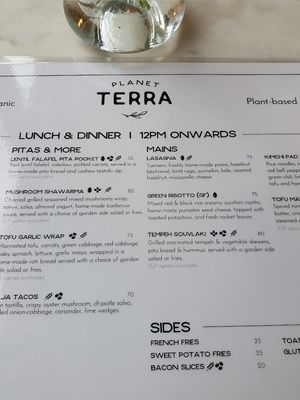 Menu at Planet Terra - Ibis Hotel Dubai in Dubai