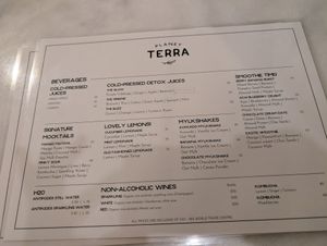  at Planet Terra - Ibis Hotel Dubai in Dubai