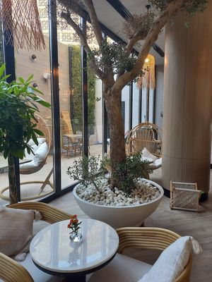  at Planet Terra - Ibis Hotel Dubai in Dubai