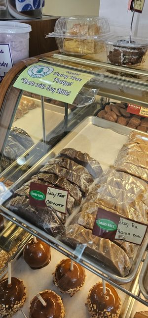 2 vegan flavors at Sanders Chocolate & Ice Cream Shops in Mackinac Island