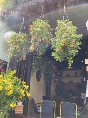   at Lanterns Coffee in Hoi An