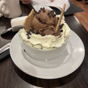 s’mores brownie sundae (chocolate ice cream)  at The Chicago Diner - Logan Square in Chicago
