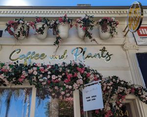  at Coffee and Plants  in Los Angeles
