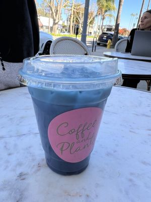 Blue latte  at Coffee and Plants  in Los Angeles