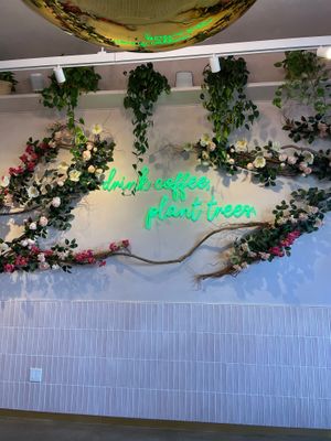  at Coffee and Plants  in Los Angeles