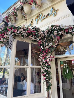  at Coffee and Plants  in Los Angeles