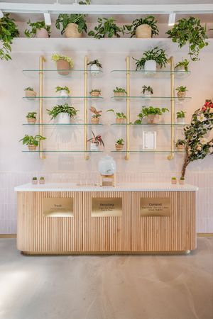  at Coffee and Plants  in Los Angeles