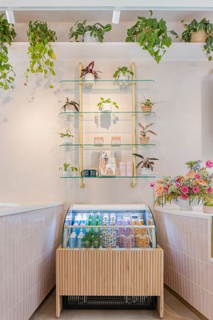  at Coffee and Plants  in Los Angeles