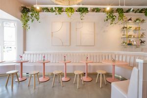  at Coffee and Plants  in Los Angeles