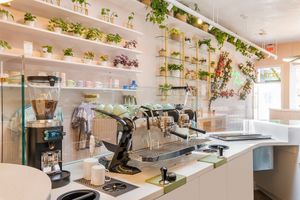  at Coffee and Plants  in Los Angeles