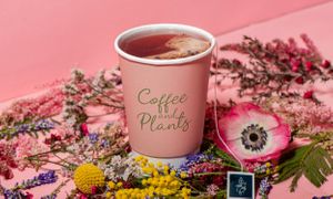  at Coffee and Plants  in Los Angeles