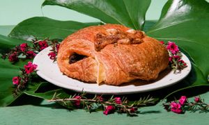  at Coffee and Plants  in Los Angeles