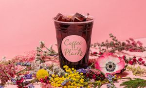  at Coffee and Plants  in Los Angeles