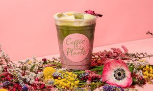  at Coffee and Plants  in Los Angeles