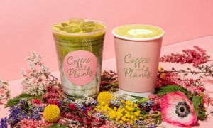  at Coffee and Plants  in Los Angeles