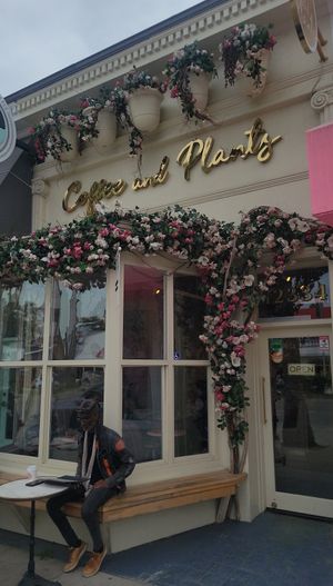 Outside at Coffee and Plants  in Los Angeles