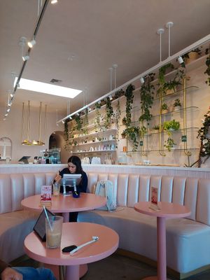  at Coffee and Plants  in Los Angeles