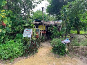   at Just Natural - Hylton Ave in Negril