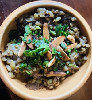 Delicious! at Freekeh in San Francisco