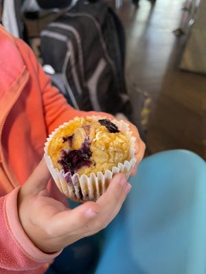 Blueberry oatmeal muffin  at 123V Bakery in London