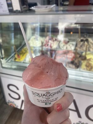 Vegan strawberry gelato  at Squagghiò in Cefalu