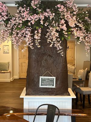 Cherry Tree Display  at Defying Gravitea in Pequannock