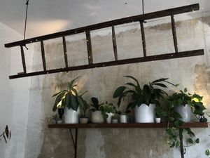 Industrial look interior, very tasteful !  at NOAH in Mainz