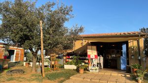 You can order here, and pick up the food at the kitchen on the left.
No service at the table, they give you some kind of beeper so you know when your meal is ready.
Fun experienc at Agriristoro Alla Terra in Castagneto Carducci