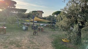 View of the garden  at Agriristoro Alla Terra in Castagneto Carducci