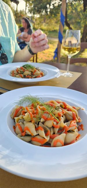  at Agriristoro Alla Terra in Castagneto Carducci