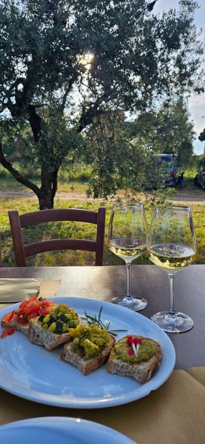  at Agriristoro Alla Terra in Castagneto Carducci