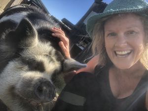   at The Tram @ Shambhala in Okato