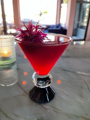 GHIA Bubbles  at Hi Flora! in Minneapolis