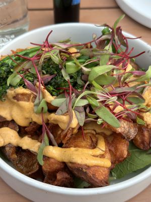   at Hi Flora! in Minneapolis