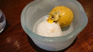 Coconut and jaggery as well as mango and tulsi ice cream at Trishna in London