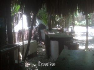 Il barino at Il Barino in Tulum