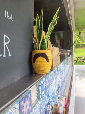 Plant at Amigos Burritos in Llanberis